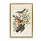 Stupell Industries Classic Audubon Bird Study Framed Floater Canvas Wall Art Design by one1000paintings
